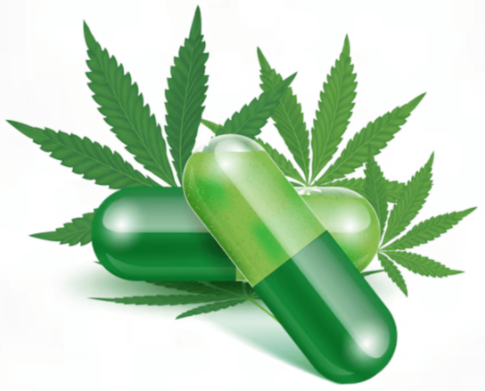 illustration of cannabis leaves with capsules